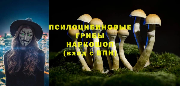прущие крисы Богородск