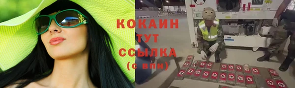 ALPHA-PVP Богородицк
