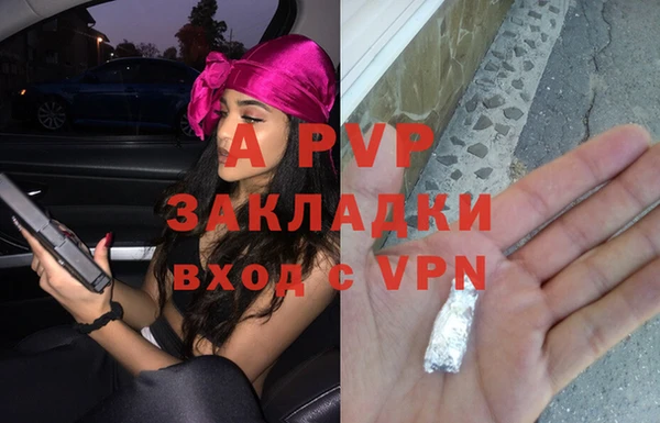 прущие крисы Богданович