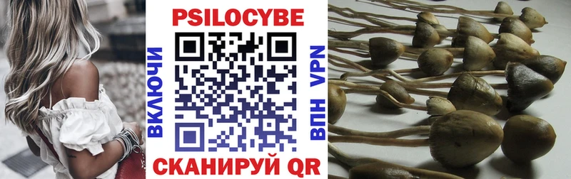 ОМГ ОМГ ссылка  Кириллов  Псилоцибиновые грибы GOLDEN TEACHER  купить  
