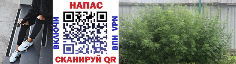 где купить наркоту  Кириллов  Бошки марихуана LSD WEED 